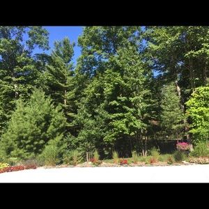 Meet your Posher, Gwen